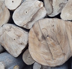 product-245-234 product-245-234