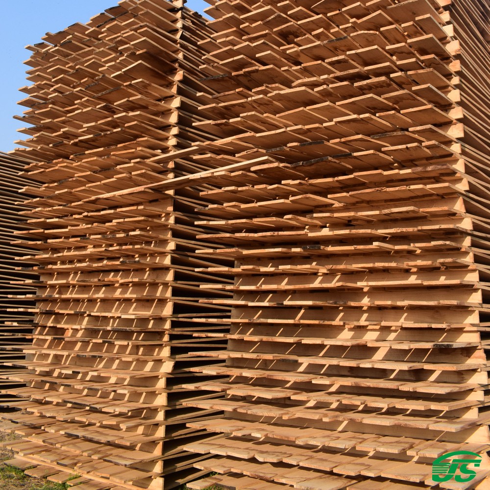 product-244-244 product-244-244