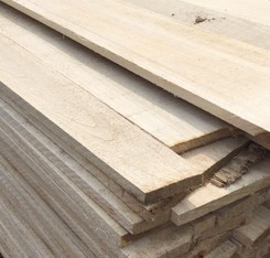 product-245-234 product-245-234
