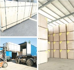 product-245-234 product-245-234