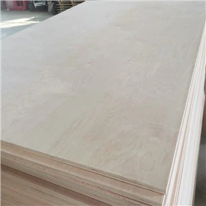 Pris Isel Poplys Eucalyptus Craidd Argaen Pren Bedw Pren haenog